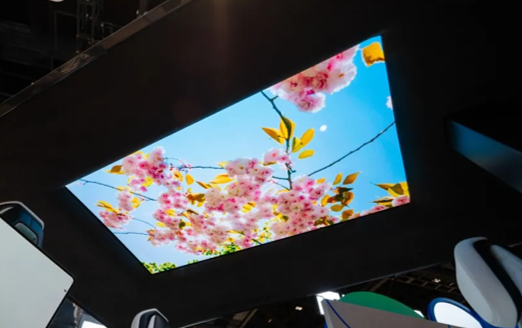 BOE-55-inch-OLED-transparent-sunroof