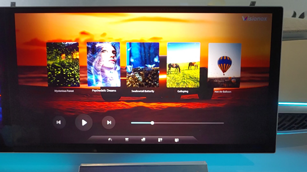 Visionox-Privacy-OLED